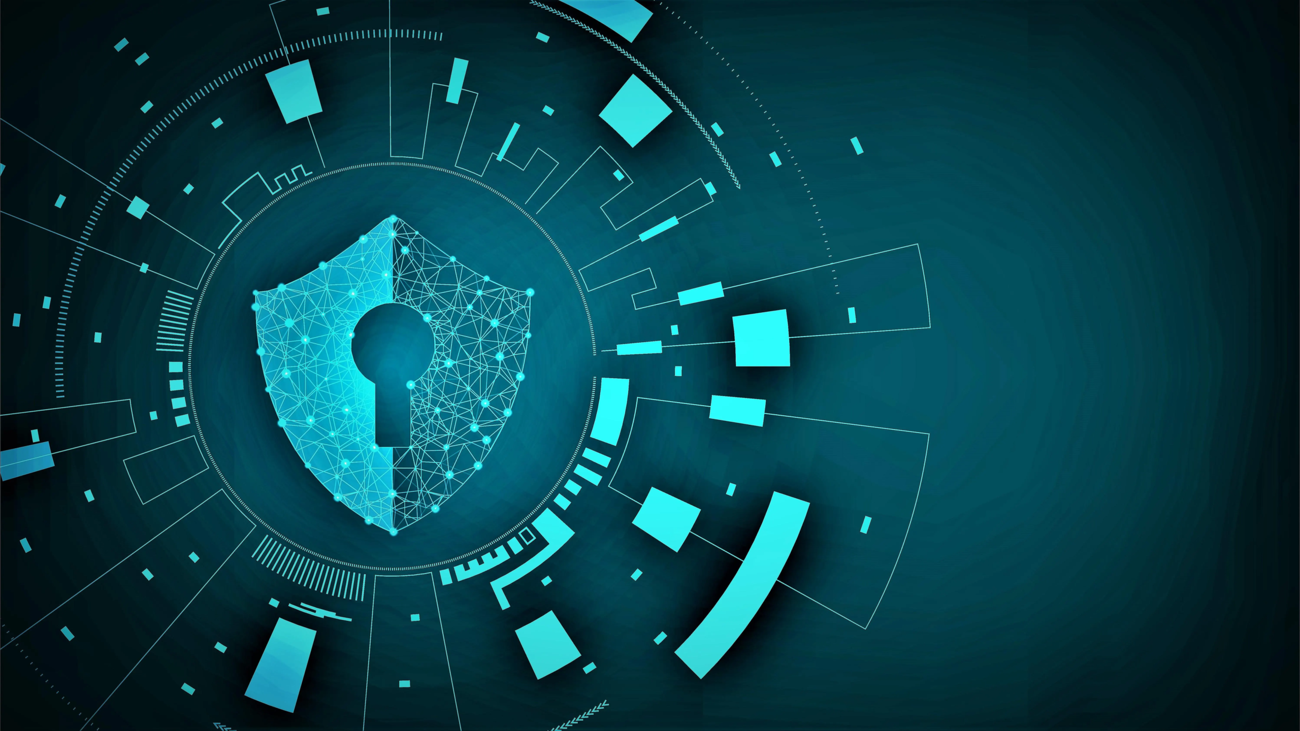 Cybersecurity in a Hyperconnected World – Protecting Data, Privacy, and Trust